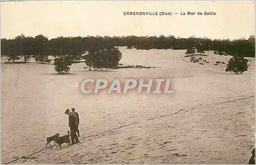 Ansichtskarte AK Ermenonville Oise La Mer de Sable