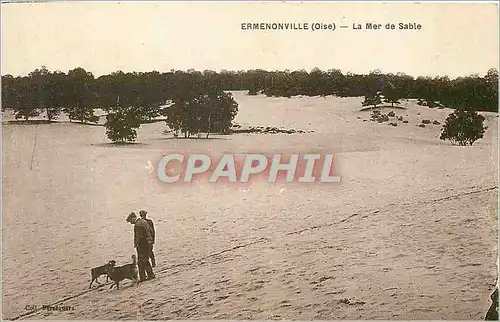 Cartes postales Ermenonville Oise La Mer de Sable