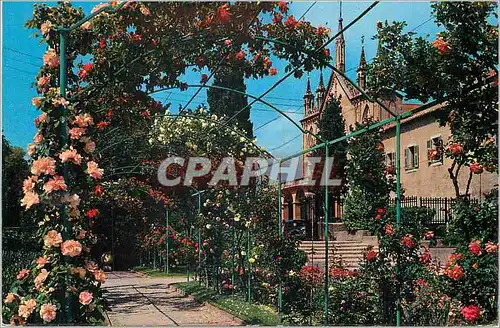 Cartes postales moderne Nice Les Jardins et Le Monastere de Cimiez