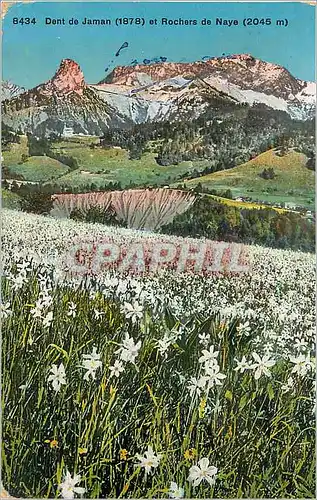 Cartes postales Dent de Jaman et Rochers de Naye