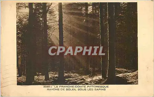 Cartes postales La Franche Comte Pittoresque Rayons de Soleil sous Les Sapins