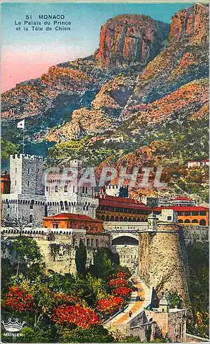 Cartes postales Monaco Le Palais du Prince et la Tete de Chien