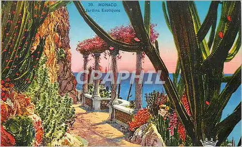 Cartes postales Monaco Jardins Exotiques