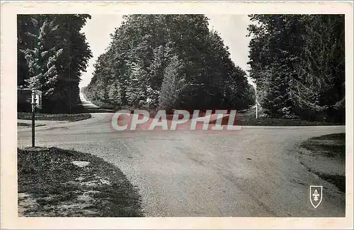 Moderne Karte Foret de Troncais Allier Carrefour du Rond Gardien