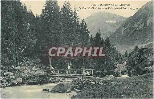 Ansichtskarte AK Pralognan la Vanoise Le Pont de Cholliere et le Petit Mont Blanc