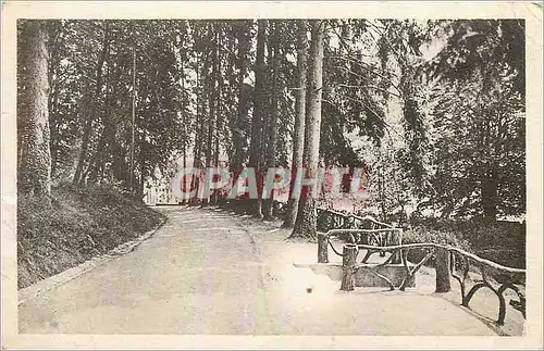 Cartes postales Bagnoles de L Orne L allee du Dante