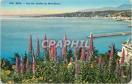 Cartes postales Nice Vue des Jardins du Mont Boron