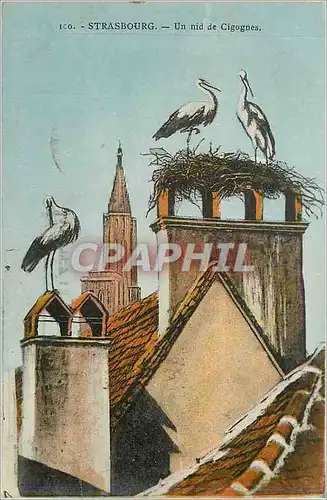Cartes postales Strasbourg Un nid de Cigognes