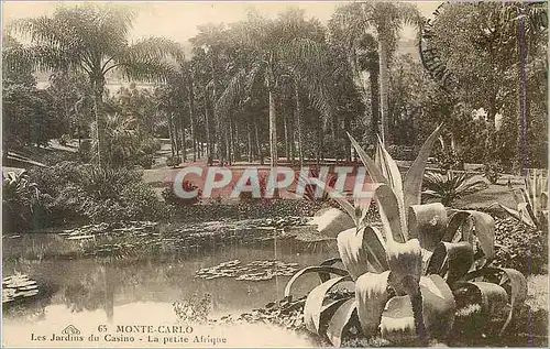 Cartes postales Monte Carlo Les Jardins du Casino La petite Afrique