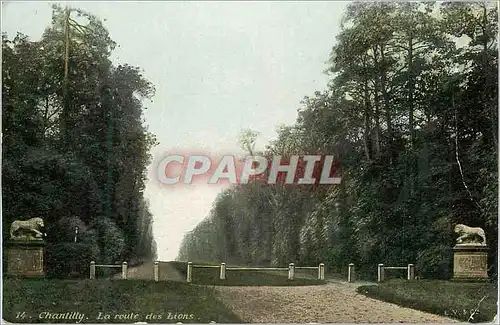 Cartes postales Chantilly La route des Lions