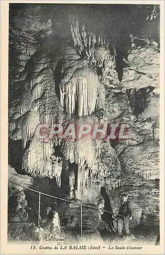 Cartes postales Grottes de la Balme Isere Le Saule pleureur