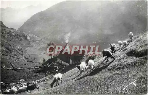 Moderne Karte Toute la France Edit Jove Pau B P Gd Dipl d Honneur Expos Internat Terroir Pyreneen Paturage en