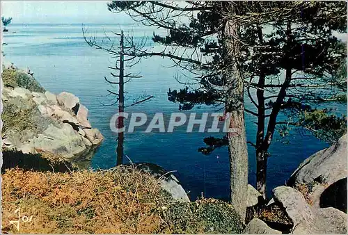 Cartes postales moderne La Bretagne en Couleurs Petite crique sur la Cote de Grand rose