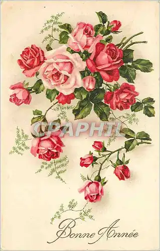 Cartes postales Bonne Annee