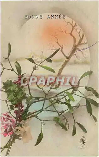 Cartes postales Bonne Annee