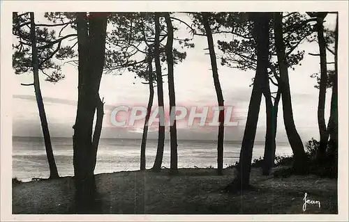 Cartes postales moderne St Palais sur Mer Ch M Contre jour du Platin