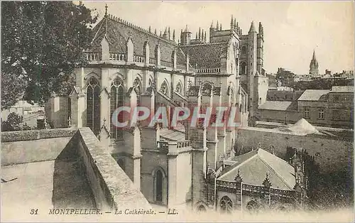 Cartes postales Montpellier La Catherale