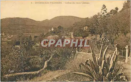 Cartes postales Hyeres les Palmiers Colline du vieux Chateau