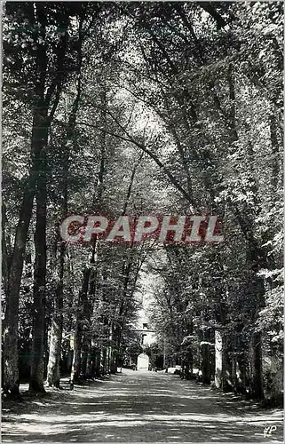 Cartes postales moderne Les Mesnuls S et O L Allee du Chateau