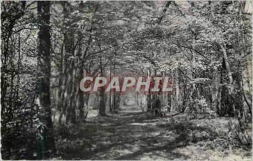 Moderne Karte Villeneuve sur Verberie Oise Sous bois en Foret d Halatte