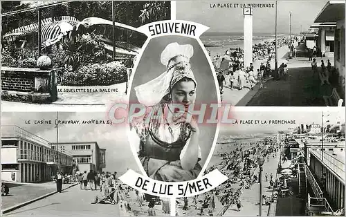 Moderne Karte Souvenir de Luc Sur Mer Baleine La plage et la promenade Le casino