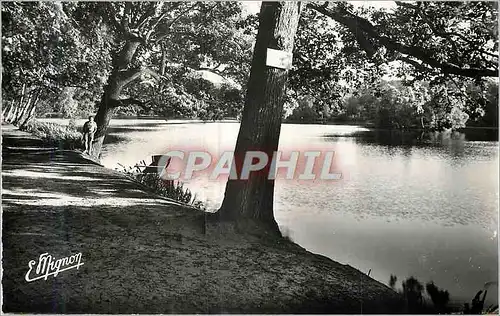 Cartes postales moderne Environs d Orgerus et Behoust S et O Etang de la Primardiere