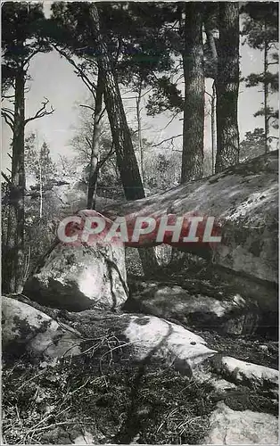 Cartes postales moderne La Ferte Alais S O Les Roches de Lardenay