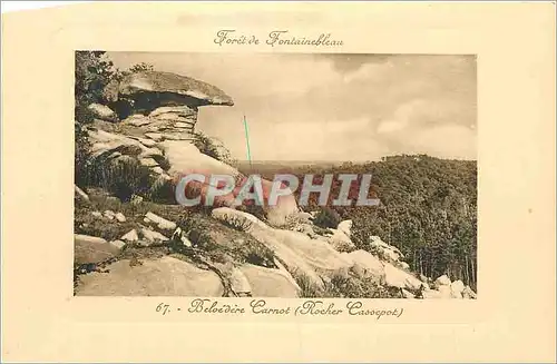 Cartes postales Foret de Fontainebleau Belvedere Carnot Rocher Cassepot