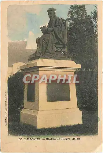 Cartes postales Le Mans Statue de Pierre Belon