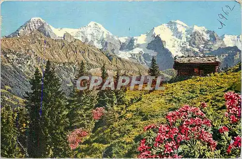 Cartes postales moderne Jungfrau Berner Oberland
