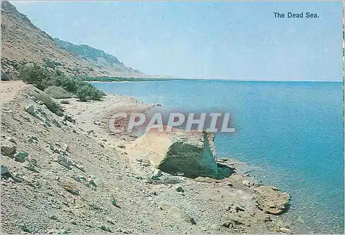 Cartes postales moderne The Dead Sea