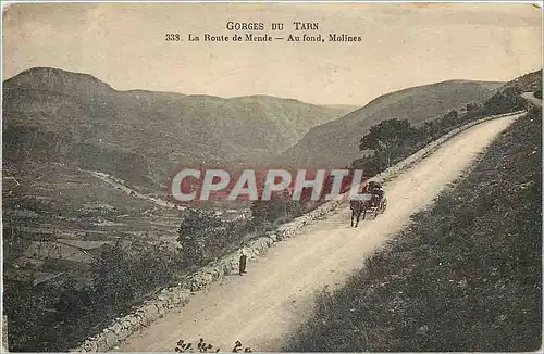 Cartes postales Gorges du Tarn La Route de Mende Au fond Molines