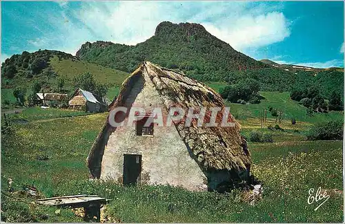 Cartes postales moderne Auvergne Pittoresque et Touristique Un vieux Buron dans la Montagne