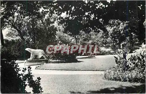 Cartes postales moderne Dijon Cote d Or Jardin Darcy Ours blanc