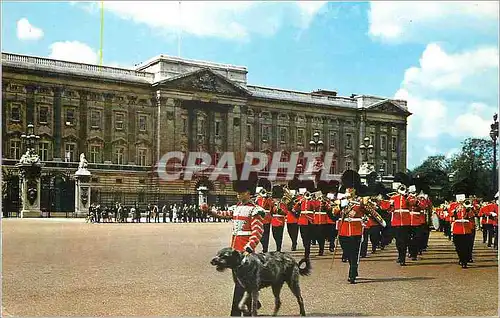 Moderne Karte Buckingham Palace London Chien Militaria