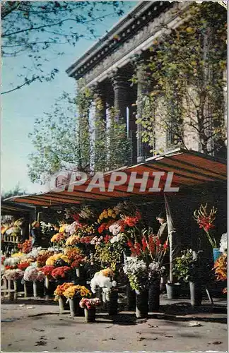 Cartes postales moderne Paris Marche sur fleurs et Notre Dame