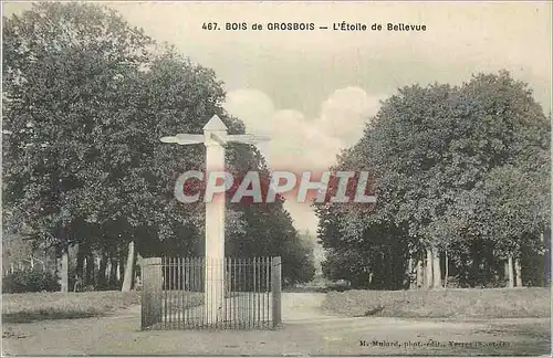 Cartes postales Bois de Grosbois L Etolie de Believue