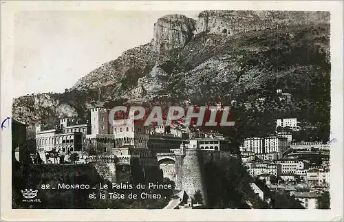 Cartes postales moderne Monaco Le Palais du Prince et le Tete de Chien