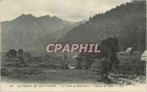 Ansichtskarte AK Environs du Mont Dore La Vallee du Mont Dore Chemin de Sancy