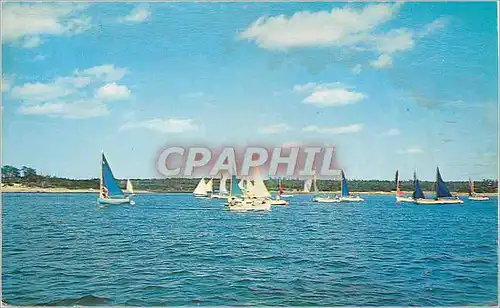Cartes postales moderne Sailing off Wings Neck Pocasset Mass