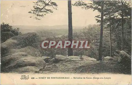 Cartes postales Foret de Fontainebleau Belvedere de Corot Gorge aux Loupe