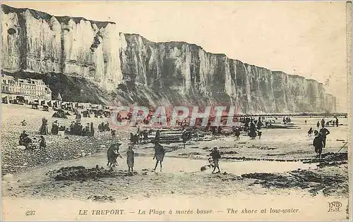 Cartes postales Le Treport La Plage a maree basse