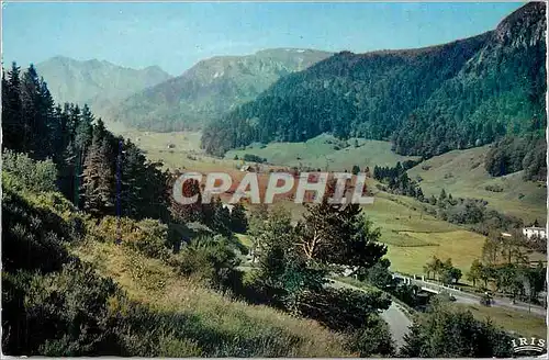 Cartes postales moderne L Auverne Vallee du Sancy et le Sancy Vue prise de la route de Basse en Chandesse