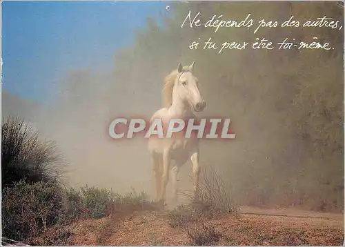 Moderne Karte Ne depends pas des autres si tu peux etre toi meme Houtland Cheval