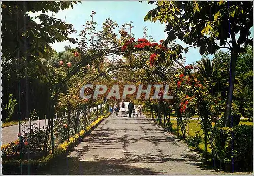 Cartes postales moderne Gijon Asturias Parque de Isabel La Catolica Rosaleda