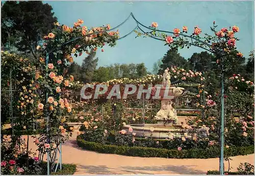 Cartes postales moderne Madrid Parc du Retiro La Rosaraie