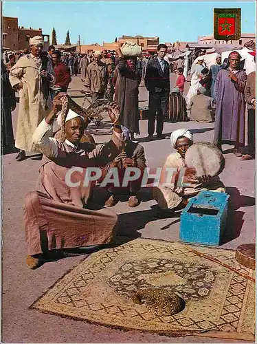 Cartes postales moderne Marruecos Tipico Typical Morocco Snake enchanter