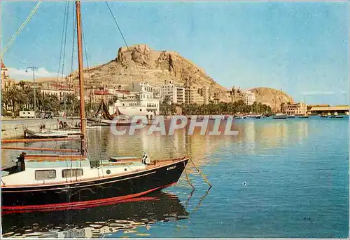 Cartes postales moderne Alicante Vue partielle