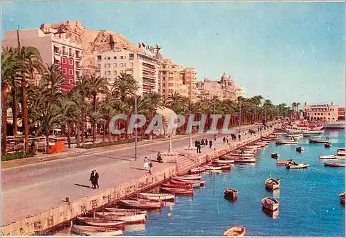 Cartes postales moderne Alicante Esplanade et Port