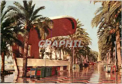 Cartes postales moderne Alicante Esplanade d Espagne et Auditorium